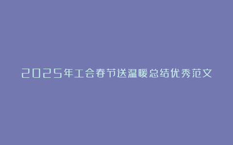 2025年工会春节送温暖总结优秀范文