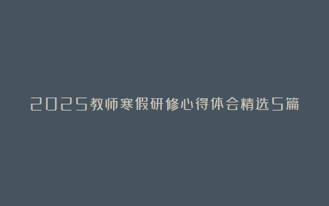 2025教师寒假研修心得体会精选5篇