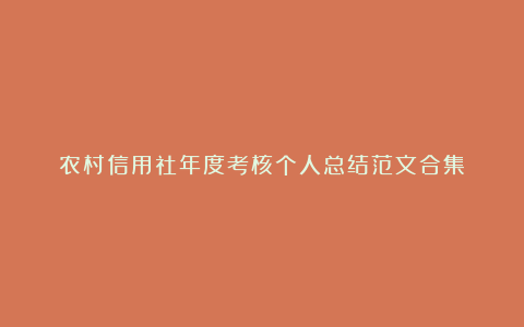 农村信用社年度考核个人总结范文合集