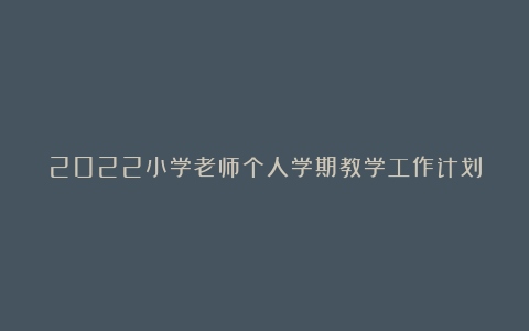 2022小学老师个人学期教学工作计划