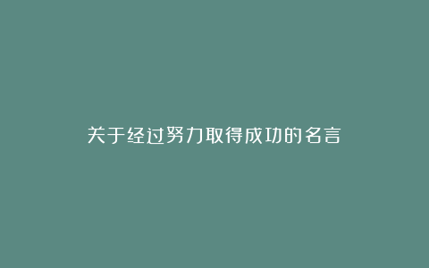 关于经过努力取得成功的名言