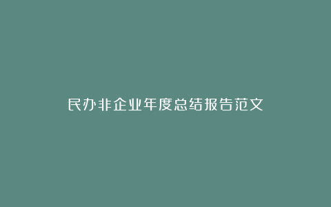 民办非企业年度总结报告范文