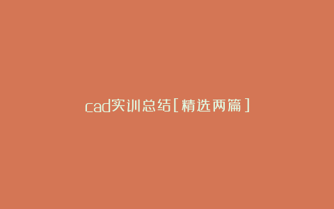 cad实训总结[精选两篇]