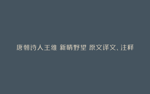 唐朝诗人王维《新晴野望》原文译文、注释及赏析