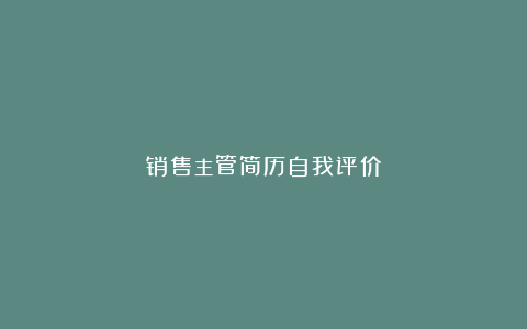 销售主管简历自我评价