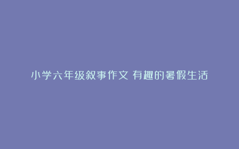 小学六年级叙事作文：有趣的暑假生活