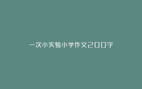 一次小实验小学作文200字