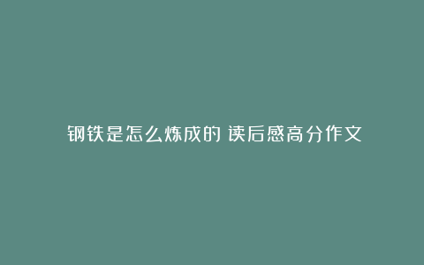 《钢铁是怎么炼成的》读后感高分作文