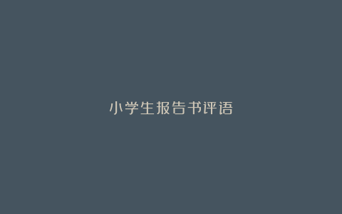 小学生报告书评语