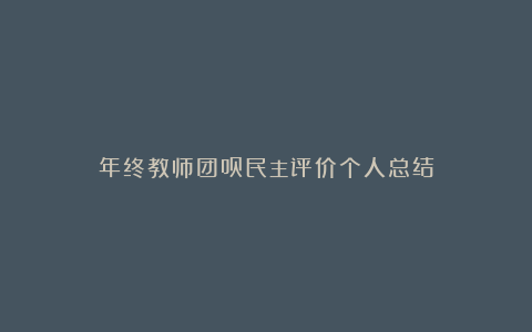 年终教师团员民主评价个人总结