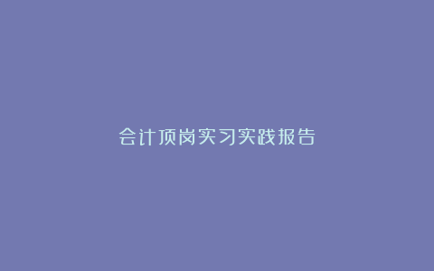 会计顶岗实习实践报告