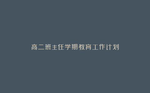 高二班主任学期教育工作计划