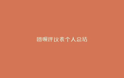 团员评议表个人总结