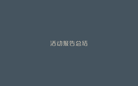 活动报告总结