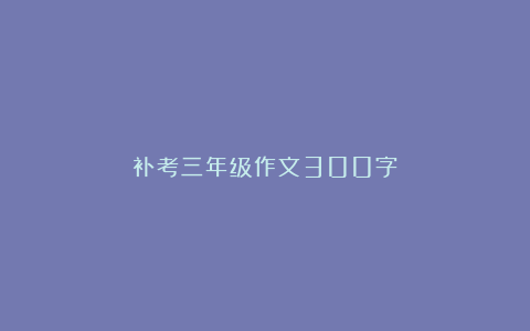 补考三年级作文300字