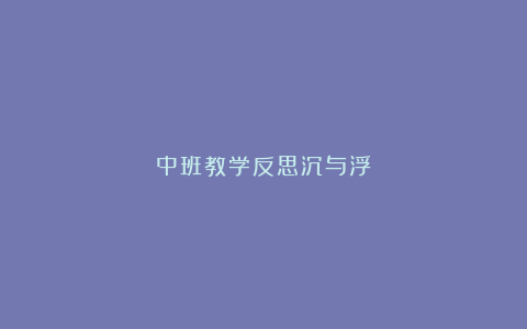 中班教学反思沉与浮