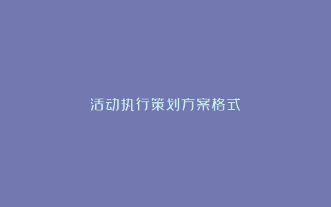 活动执行策划方案格式