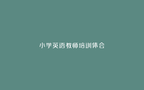 小学英语教师培训体会