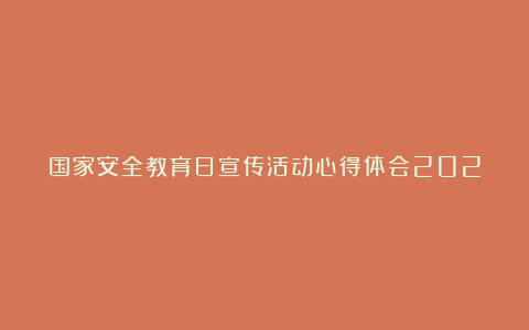 国家安全教育日宣传活动心得体会202