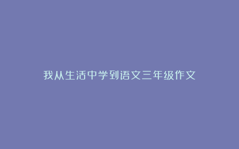 我从生活中学到语文三年级作文