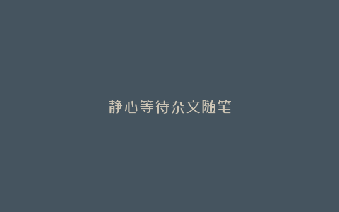 静心等待杂文随笔