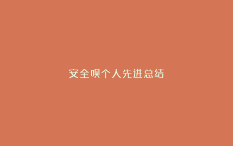 安全员个人先进总结