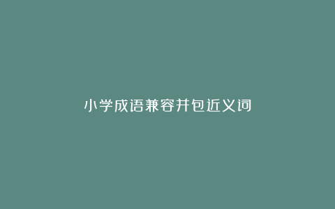 小学成语兼容并包近义词