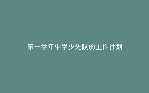 第一学年中学少先队的工作计划