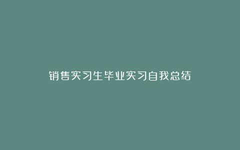 销售实习生毕业实习自我总结