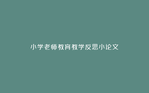 小学老师教育教学反思小论文