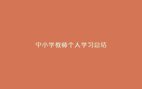 中小学教师个人学习总结