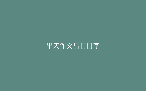 半天作文500字