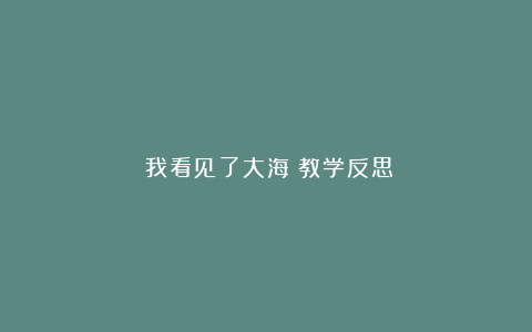 《我看见了大海》教学反思