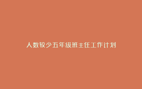 人数较少五年级班主任工作计划