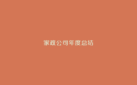 家政公司年度总结