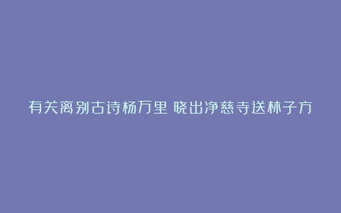 有关离别古诗杨万里《晓出净慈寺送林子方》赏析