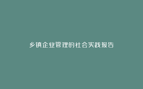 乡镇企业管理的社会实践报告