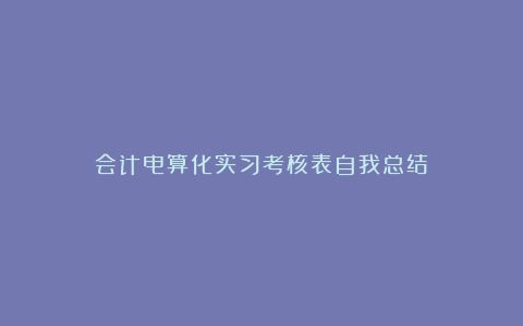 会计电算化实习考核表自我总结