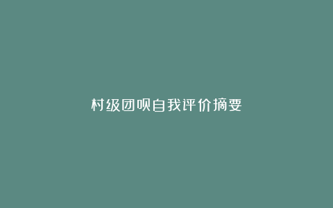 村级团员自我评价摘要