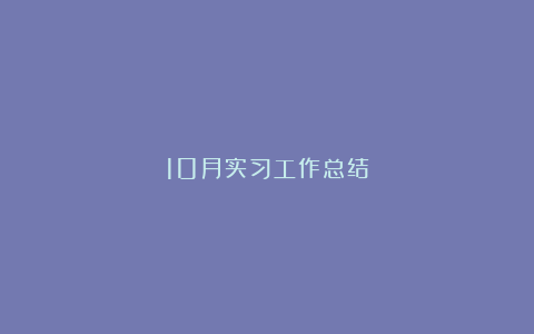 10月实习工作总结