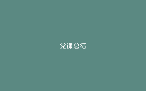 党课总结