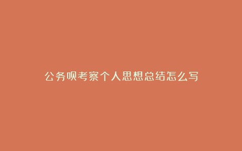 公务员考察个人思想总结怎么写