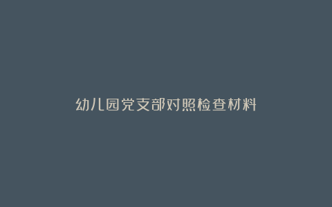 幼儿园党支部对照检查材料