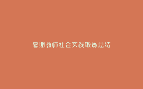 暑期教师社会实践锻炼总结