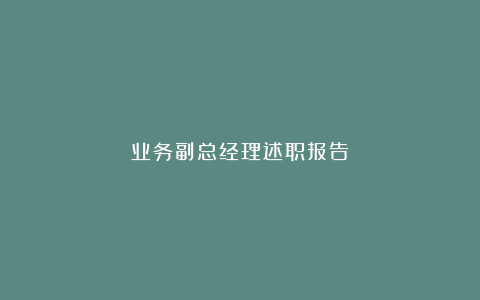 业务副总经理述职报告