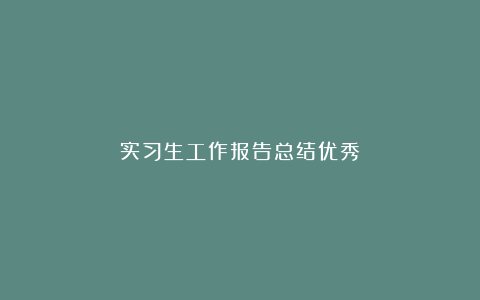 实习生工作报告总结优秀