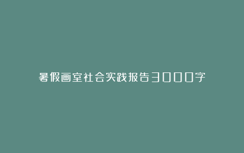 暑假画室社会实践报告3000字