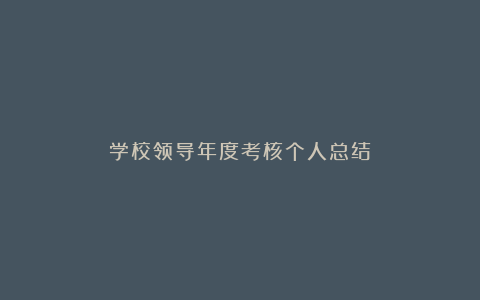 学校领导年度考核个人总结