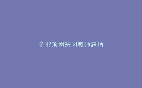 企业顶岗实习教师总结