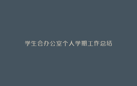 学生会办公室个人学期工作总结